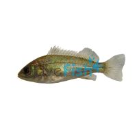 Jade Perch 4cm