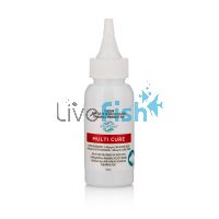 Blue Planet - Multi Cure 50ml