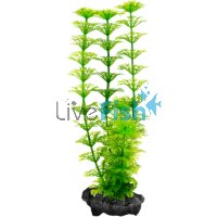 Decoart Plant Ambulia - Medium 23cm