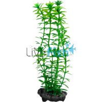 Decoart Plant Anacharis - Large 30cm