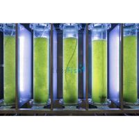 2L Copepod Food Live Algae Mix