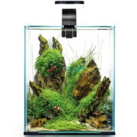 AquaEL Shrimp Set 20 - Black