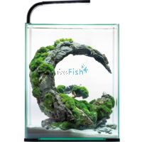 AquaEl Shrimp Set 10L - White