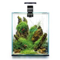 AquaEL Shrimp Set 30 - Black