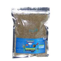 Australian Blackworm Freeze Dried XLGE 100G