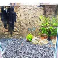 Basalt Gravel 4kg 