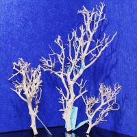 Coral Wood Pack
