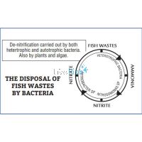 Aquasonic Nitrite Test Kit