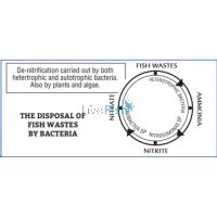 Aquasonic Nitrate Test Kit