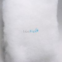 JBL Symec Filterwool 500g