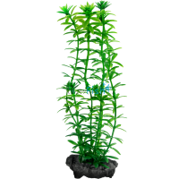 Decoart Plant Anacharis - Small 15cm