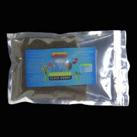 Australian Pellet Blackworm 100G