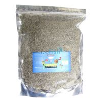 Australian Blackworm Freeze Dried XXL 200G
