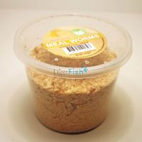 Mealworms - Tenebrio Molitor 100g