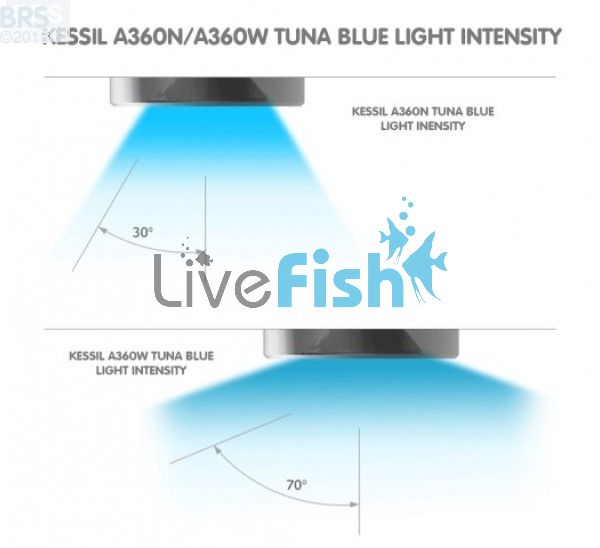 Kessil A360W-E Tuna Blue Narrow Angle Deep Penetrating