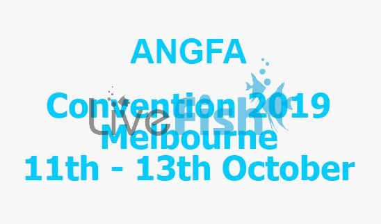 Angfa 2019 Conference Auction Delivery