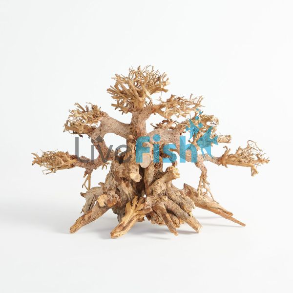 Bonsai Driftwood 25cm x 20cm