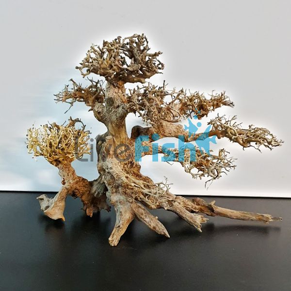 Bonsai Driftwood 35cm x 25cm