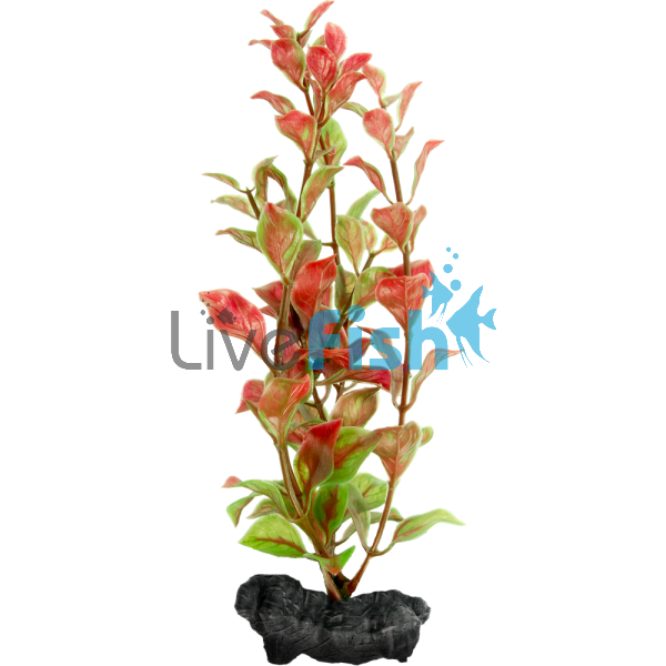 Decoart Plant Red Ludwigia - Medium 23cm