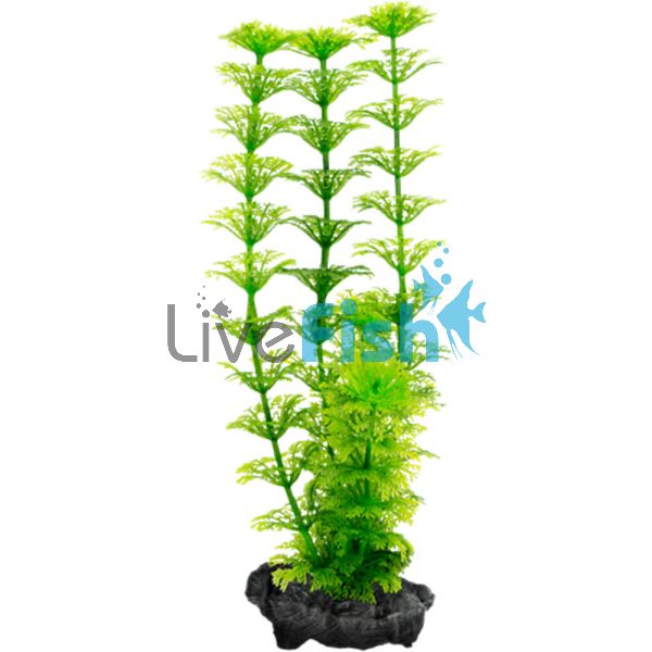 DecoArt Plant Ambulia Small 15cm