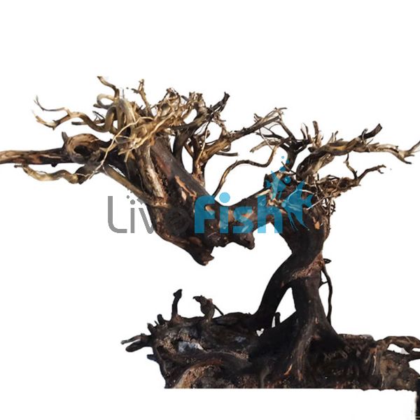 Golden Tree Hard Scape Jin 03 (Free Shipping)