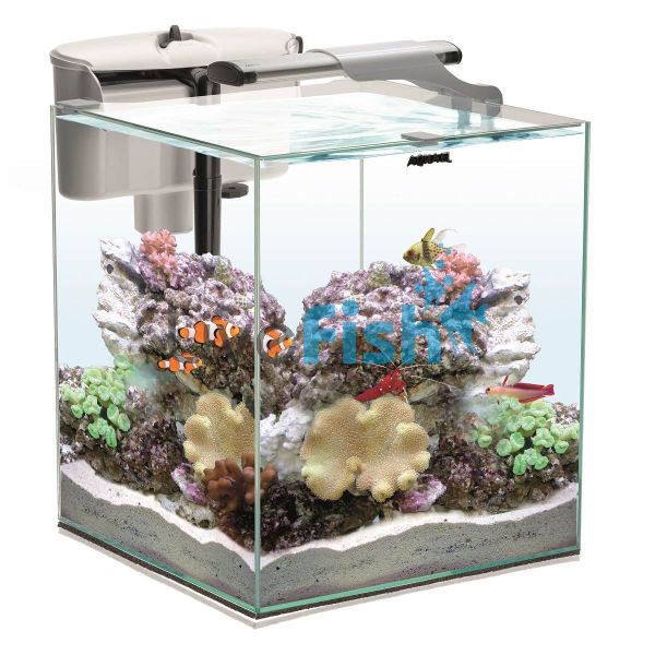 Nano Reef Duo