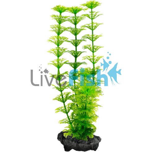 Decoart Plant Ambulia - Medium 23cm