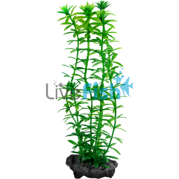 Decoart Plant Anacharis - Large 30cm