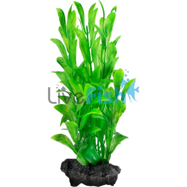 Decoart Plant Hygrophila - Large 30cm
