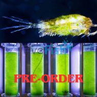 Copepods & Algae Mix