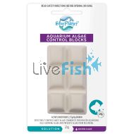 Blue Planet - AQ Algae Control Block 24g