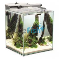 Tank And Fish Bundle