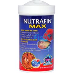 Nutrafin Max Tropical Colour Enhance Flakes 77g