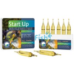 Prodibio - Start Up 6 Vials