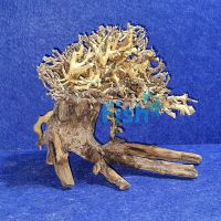 Bonsai Driftwood 15cm x 12cm 
