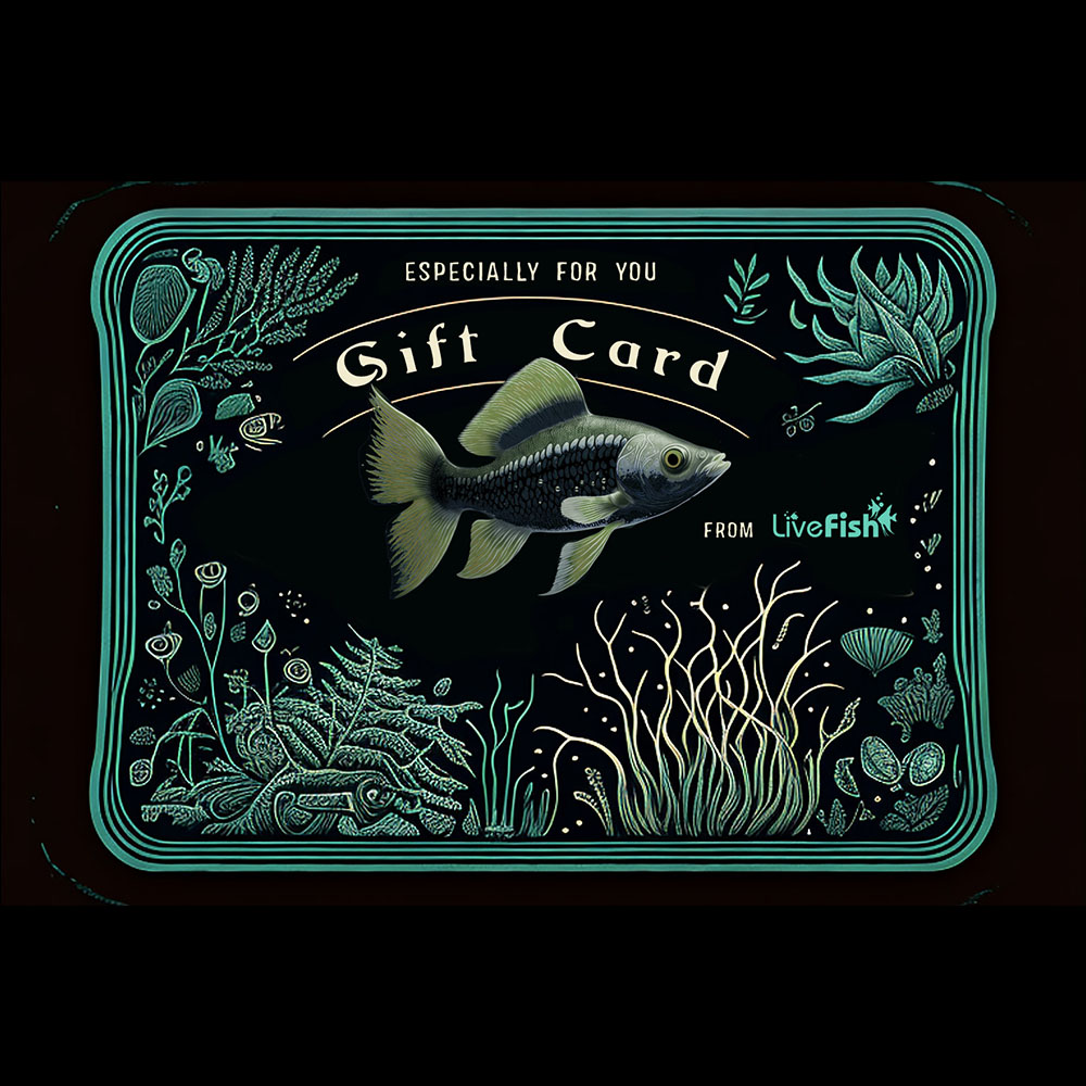 Neon Tin Gift Card