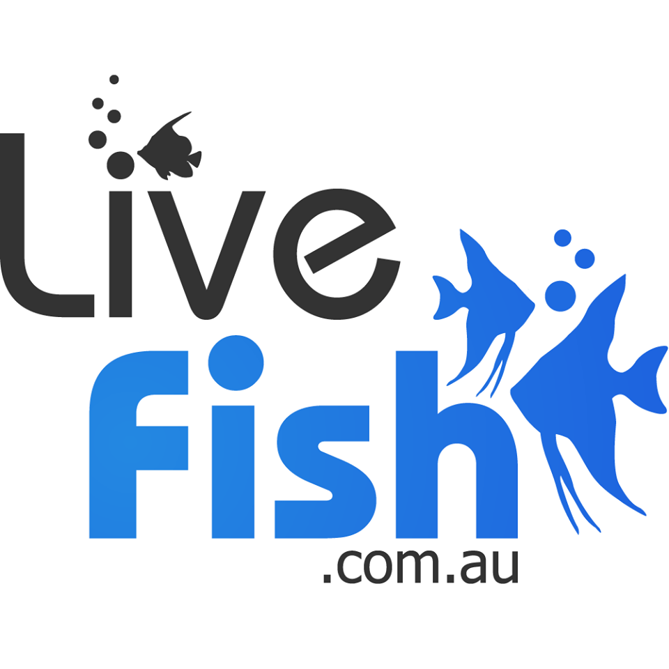 livefish.com.au