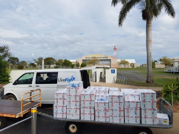 LiveFish Celebrates 20 years - This is Our Story.