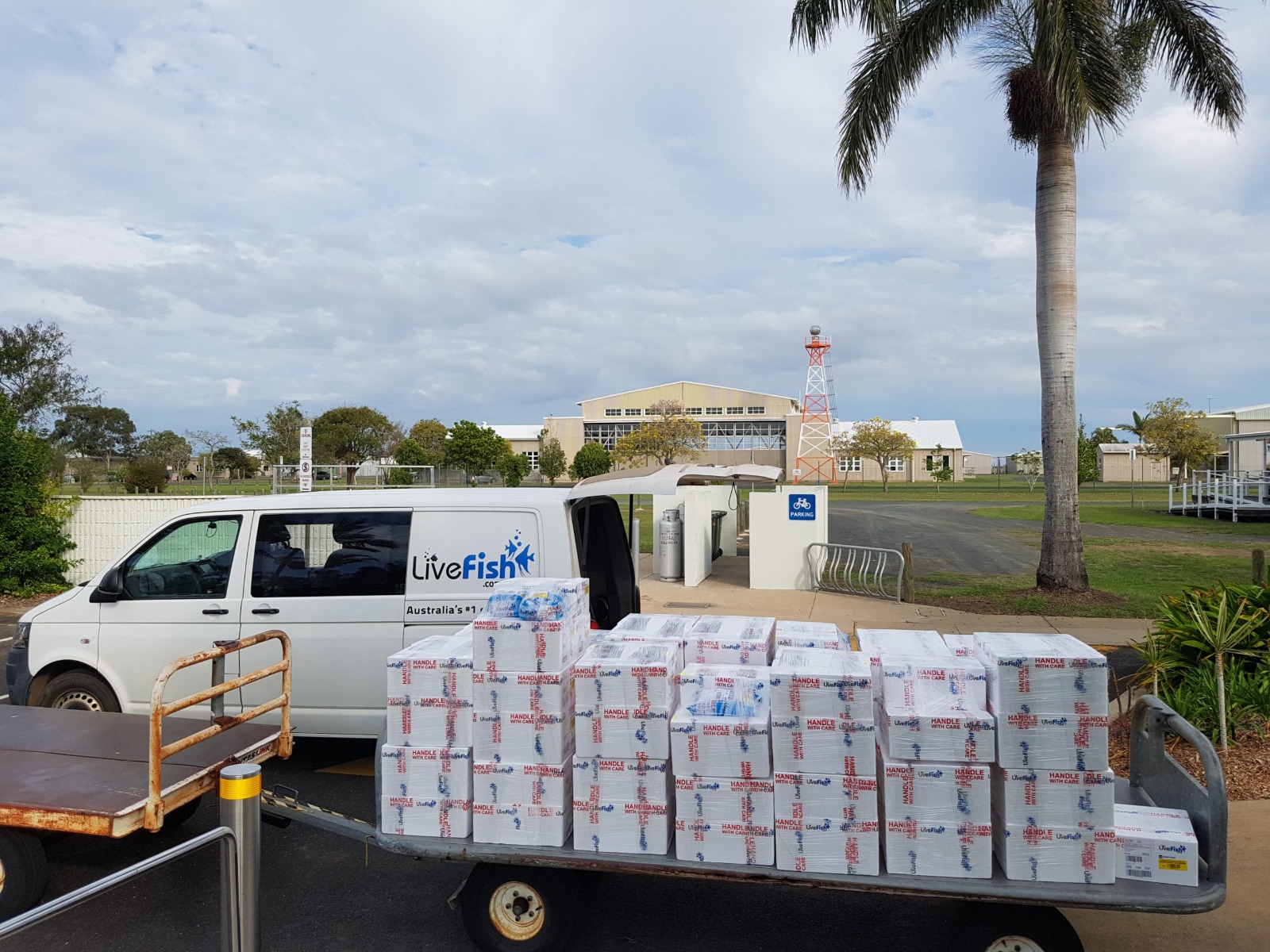 Early LiveFish fish packing and shipping setup